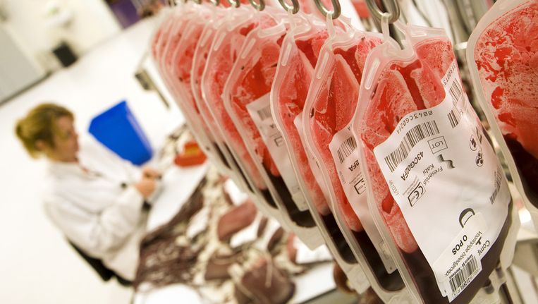 Kweekbloed: realistische sciencefiction